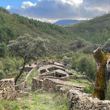 La Calleja De Hurdes Trcc00555