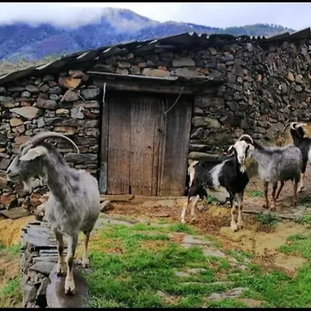 La Calleja De Hurdes Trcc00555 בית נופש Sauceda