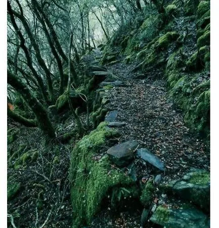 בית נופש La Calleja De Hurdes Trcc00555 *