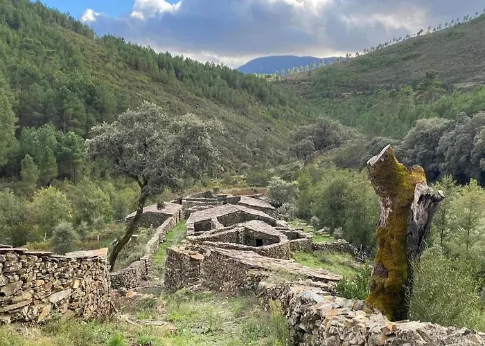 La Calleja De Hurdes Trcc00555