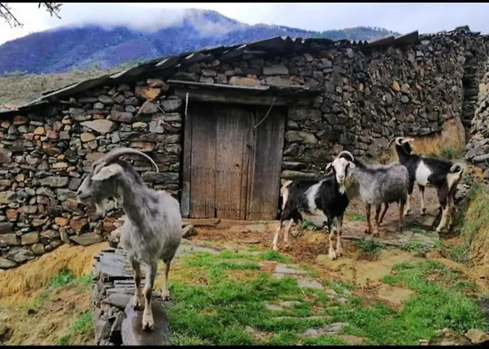 La Calleja De Hurdes Trcc00555 Сasa de vacaciones Sauceda