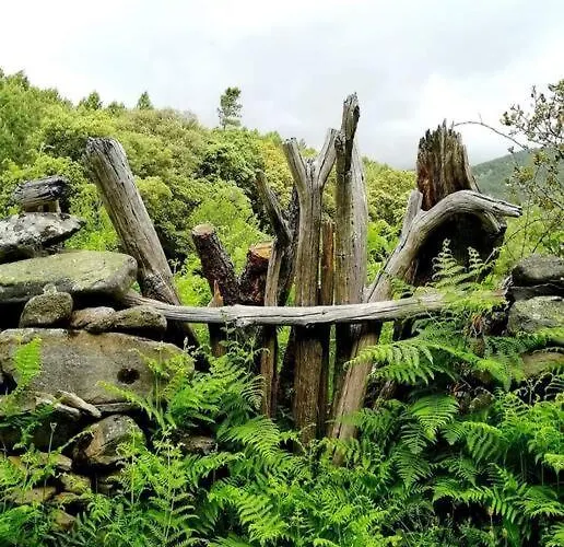 La Calleja De Hurdes Trcc00555 * Sauceda