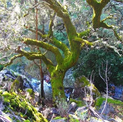 La Calleja De Hurdes Trcc00555 Сasa de vacaciones *