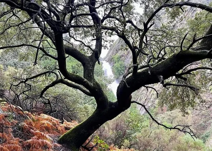 La Calleja De Hurdes Trcc00555