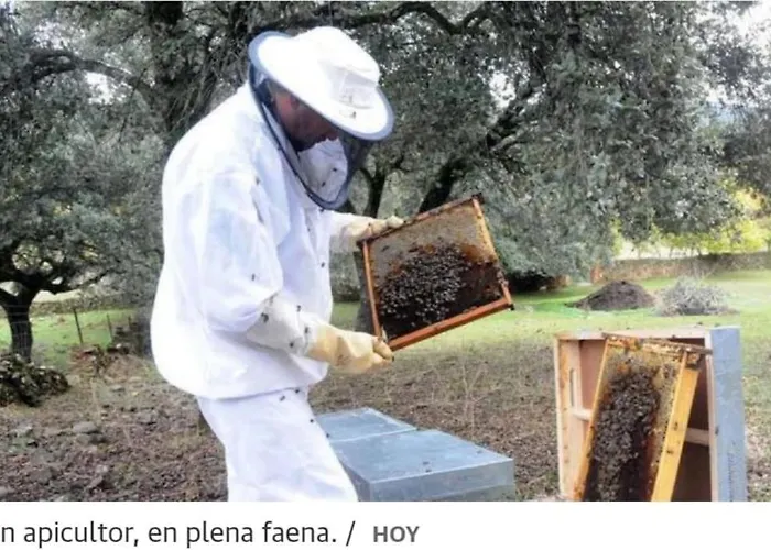 La Calleja De Hurdes Trcc00555 *