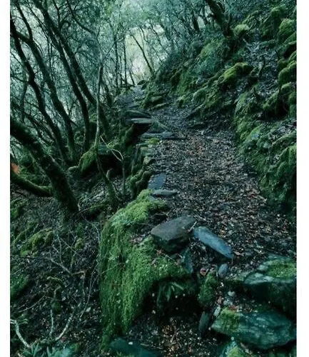 Сasa de vacaciones La Calleja De Hurdes Trcc00555 *